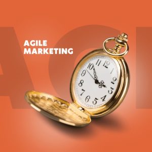 agile marketing alicante tecnologica 1 300x300 - Agile Marketing